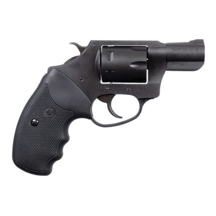 Are Charter Arms good guns?
