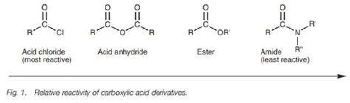 Are esters or anhydrides more reactive?