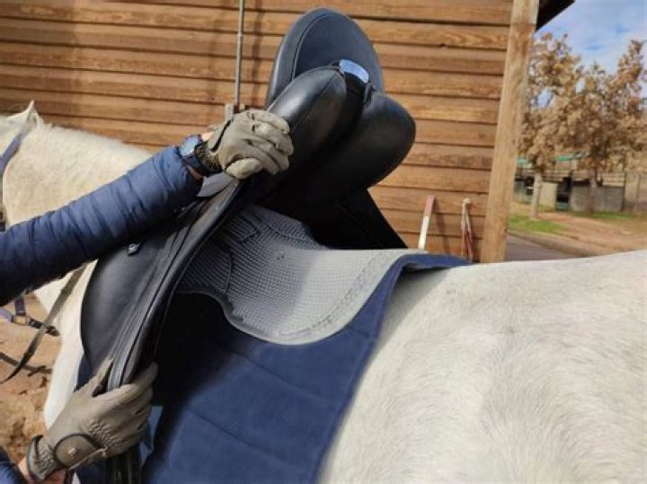 Are gel saddle pads good?