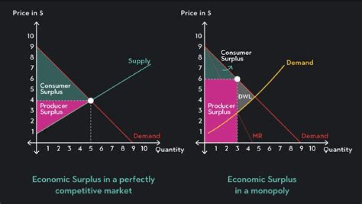 Are Surplus Lines taxed?