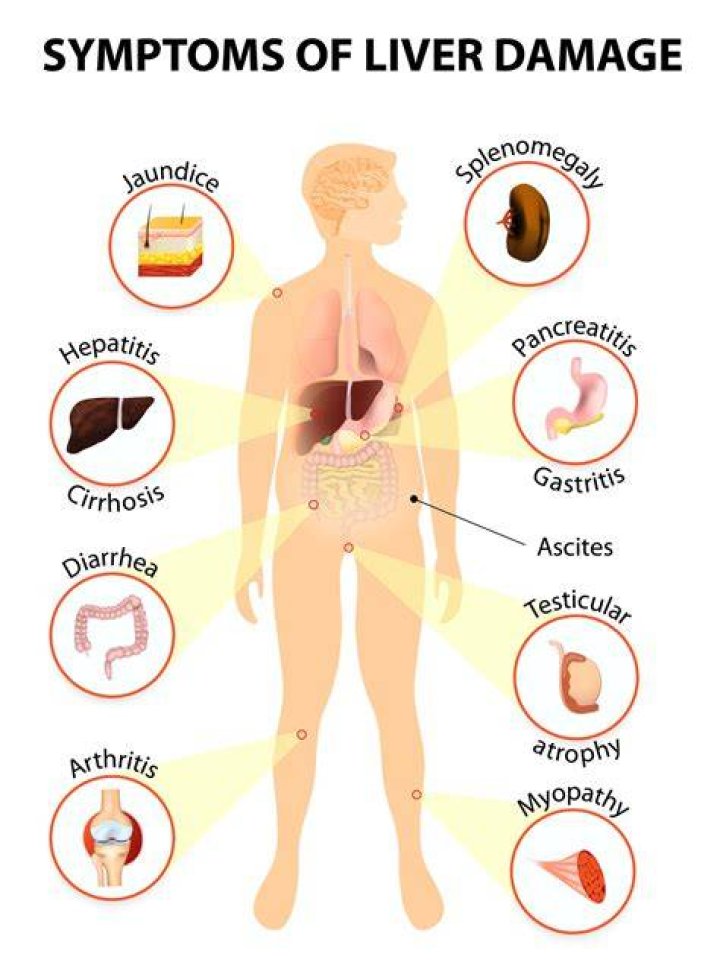 Can ginseng cause liver damage?