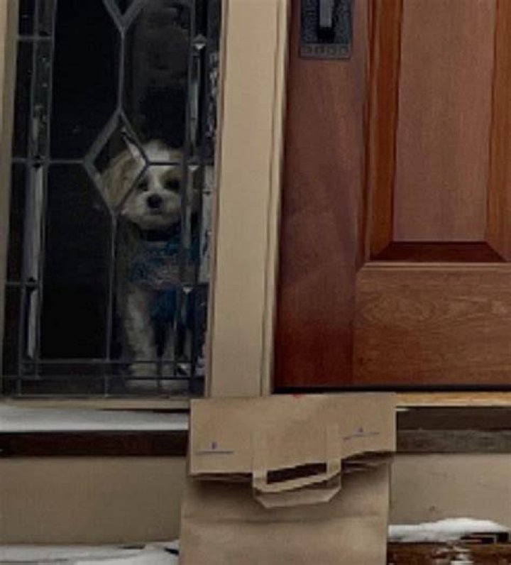 Can I bring my dog with me when I DoorDash?
