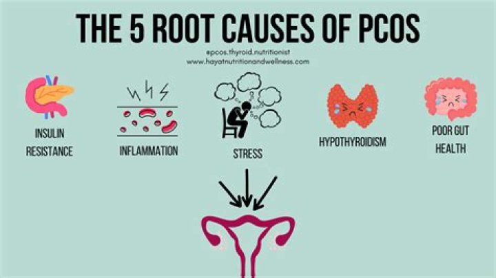 Can MTHFR cause PCOS?