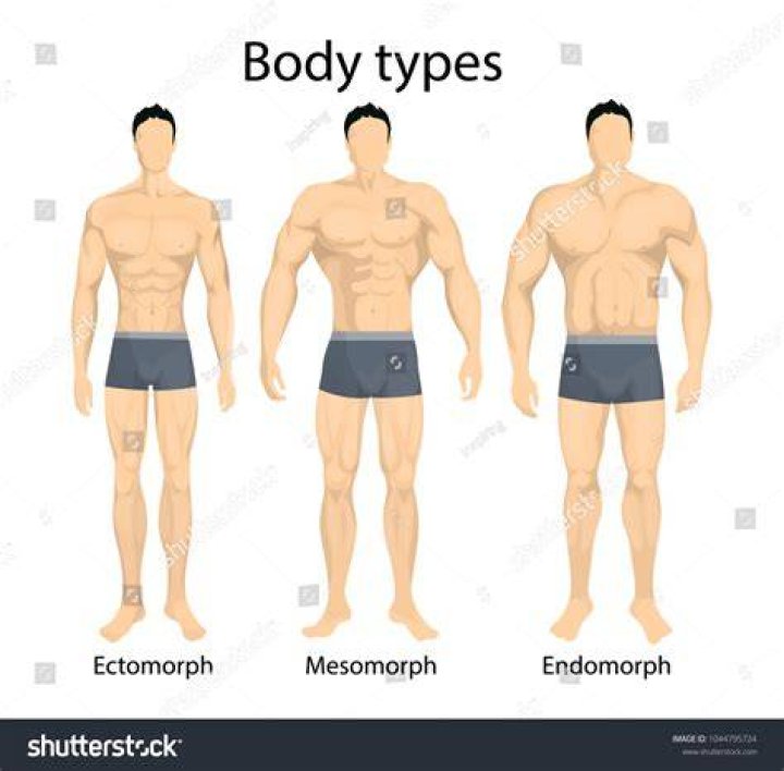 Can you be a mix of mesomorph and endomorph?