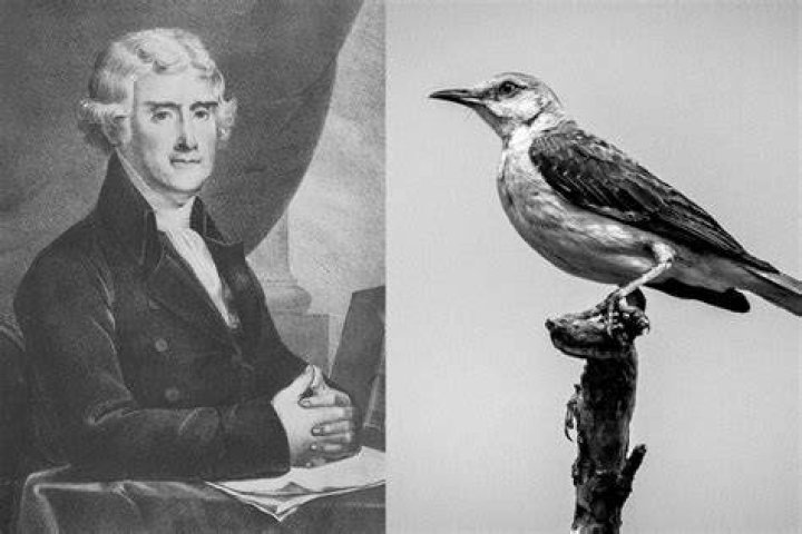 Did Thomas Jefferson have any pets in the White House?