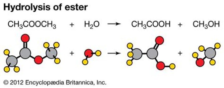 Do esters hydrolyze in water?