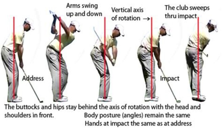 Do the arms rotate in golf swing?
