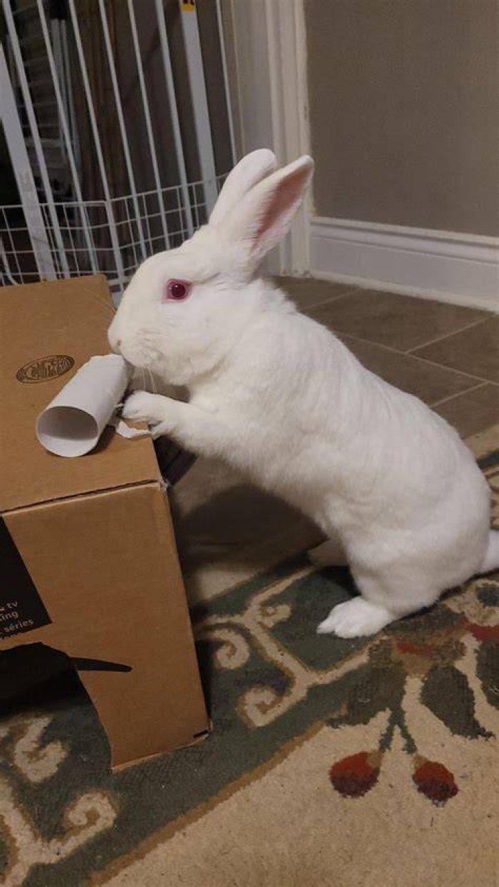 Do you scoop pee out of litter?