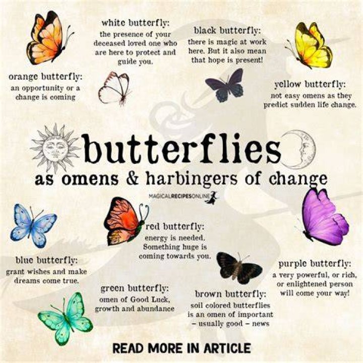 Does Aurelia mean butterfly?