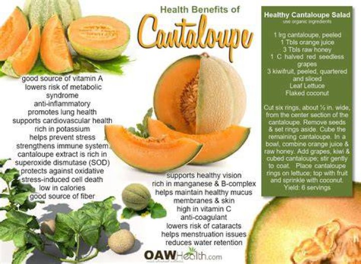 Does cantaloupe have any health benefits?