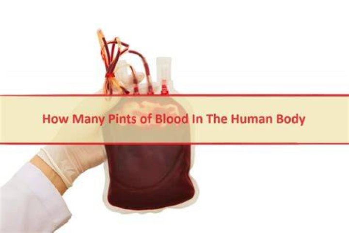 Does the human body have 10 pints of blood?