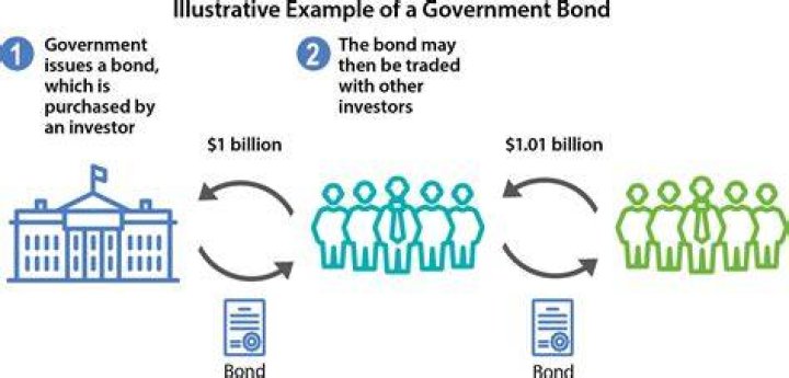 Does the NZ government issue bonds?