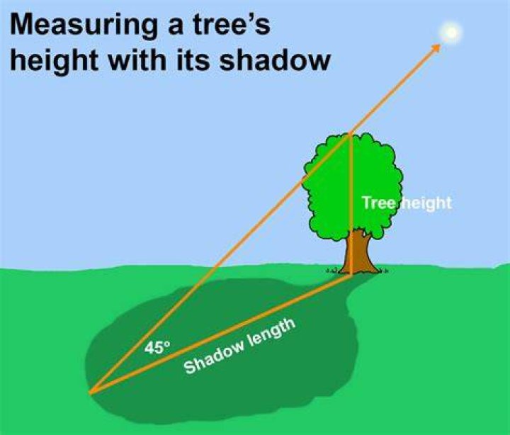 How can shadows be used to measure height?