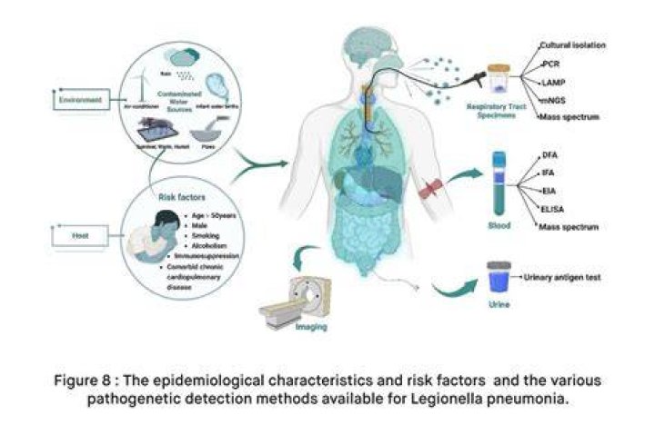 How common is Legionella Longbeachae?