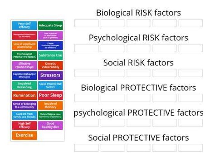 How did bps risk management lead to failure?