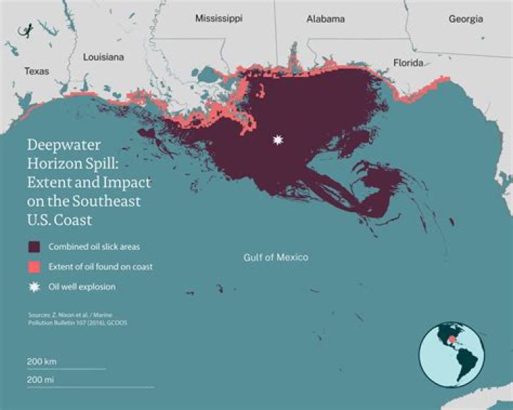 How did the government respond to the BP oil spill?