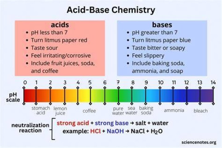 How do acids and bases change a solution?