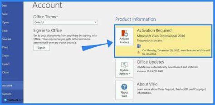 How do I activate my Visio 2010 product key?