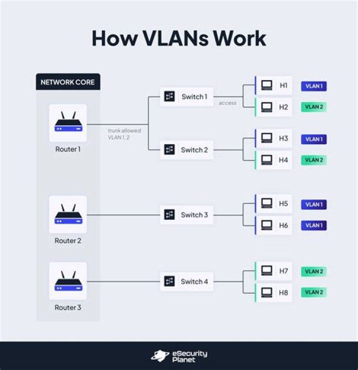 How do I add a VLAN to my HP switch?
