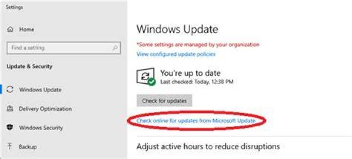 How do I check for Windows updates online?