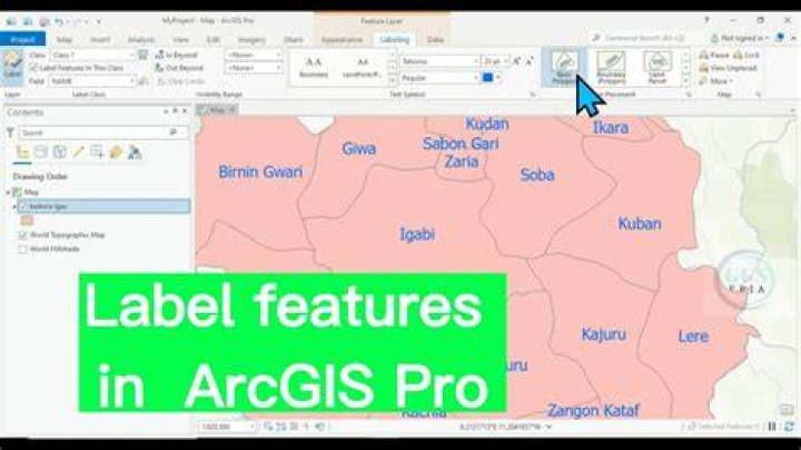 How do I count features in ArcGIS?