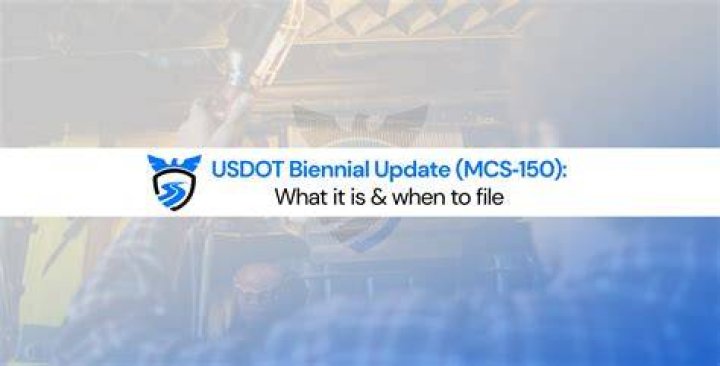 How do I file my biennial update?