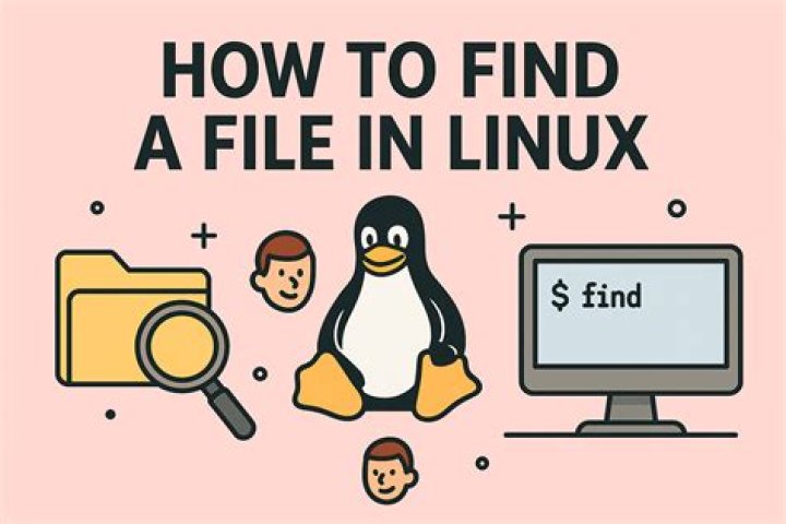 How do I find file details in Linux?
