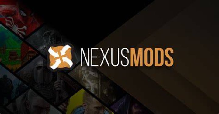 How do I fix nexus mods not downloading?