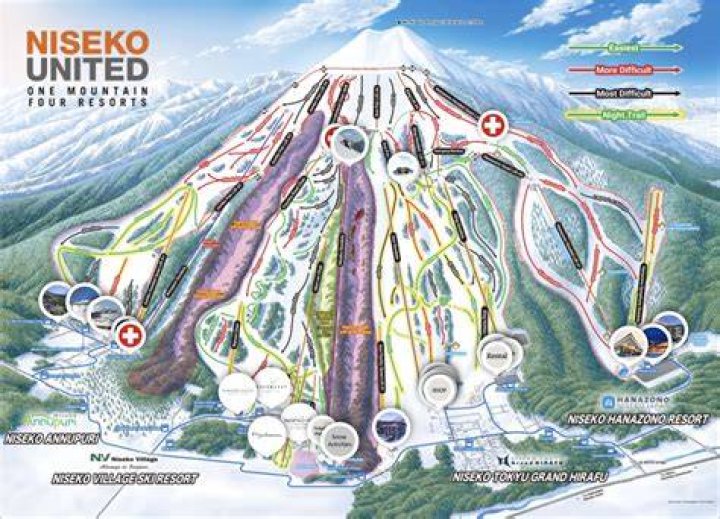 How do I get from Singapore to Niseko?