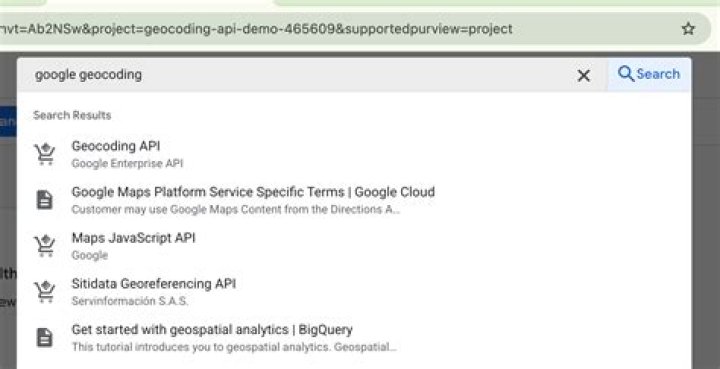 How do I get the Geocoding API key from Google Maps?