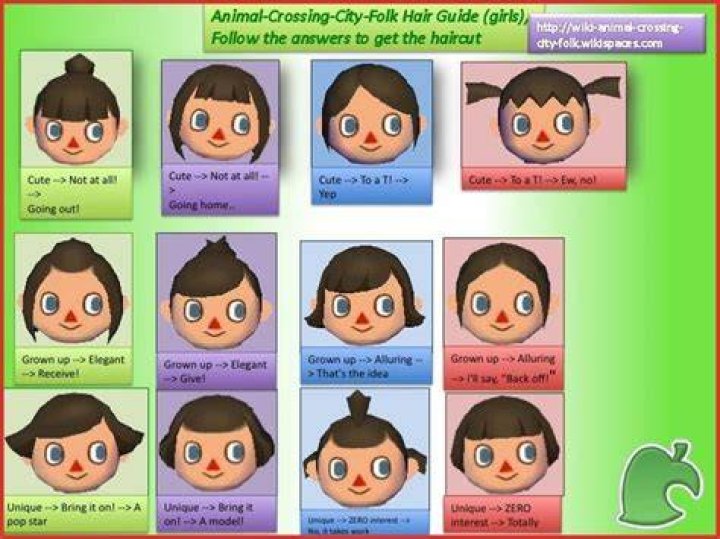 How do you get the hairstyle you want in Animal Crossing City Folk?