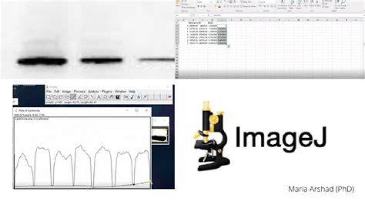 How do you make a background Black in ImageJ?