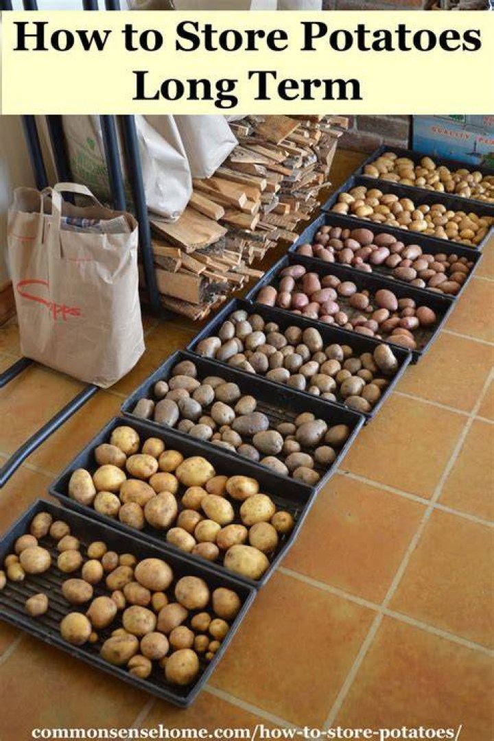 How do you store home grown potatoes long term?
