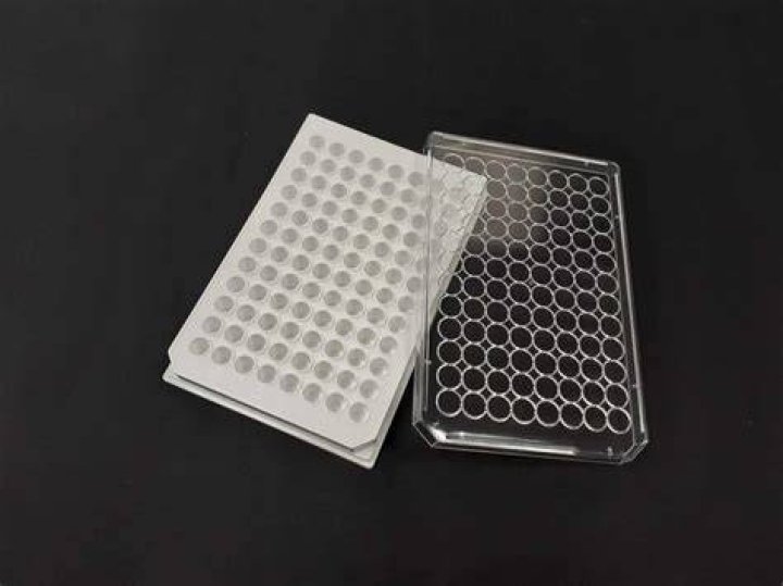 How do you store Poly-L-Lysine plates?
