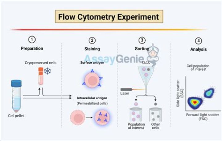 How do you validate a flow cytometry assay?