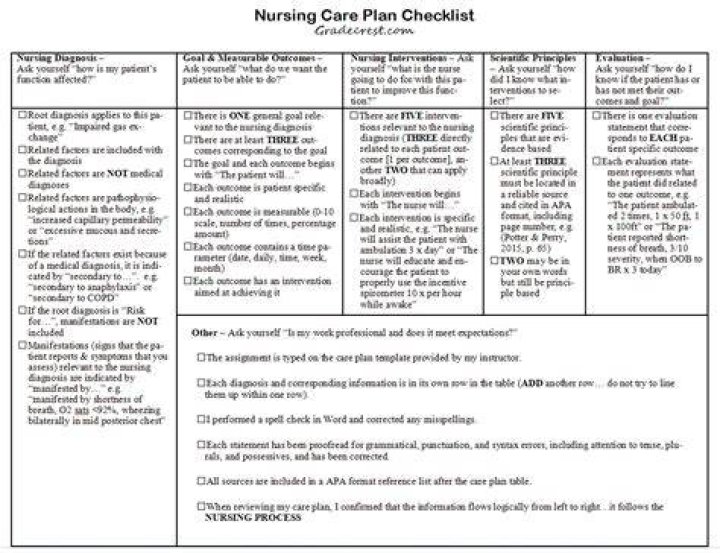 How do you write a nursing care plan for students?