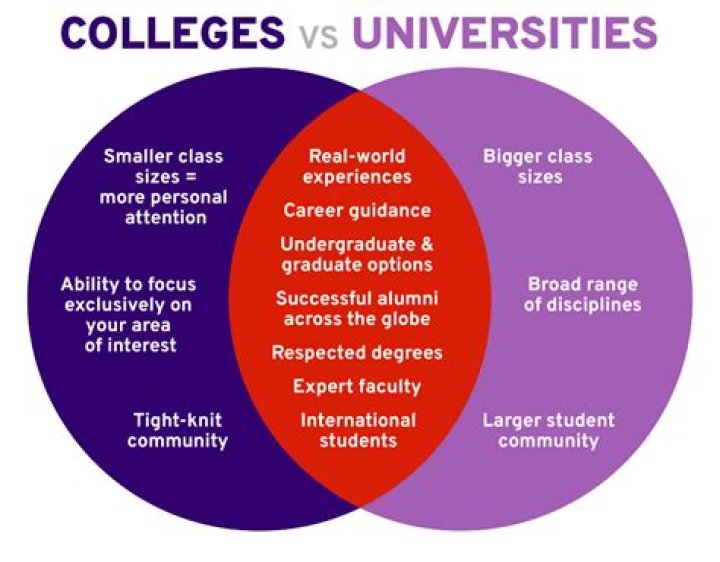 How does community college compare to university?