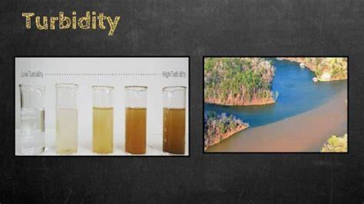 How does turbidity affect pH?