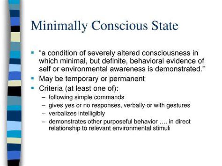 How long can you stay in minimally conscious state?
