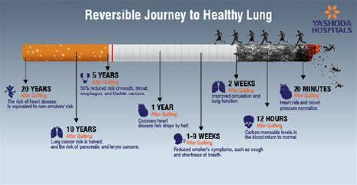 How long does it take for your lungs to repair after quitting smoking?