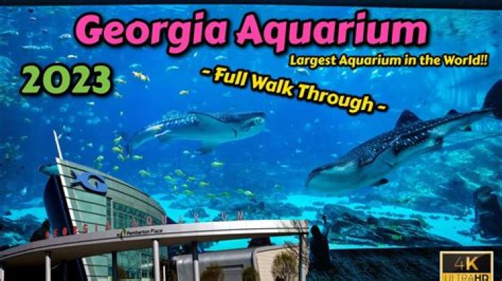 How long does it take to walk through Georgia Aquarium?