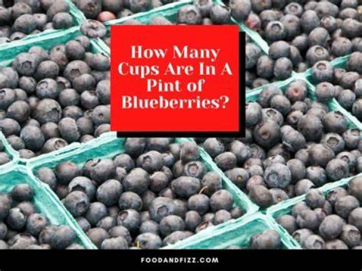 How many blueberries equal a cup?