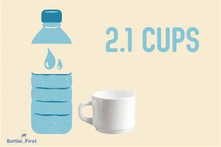 How many cups are in a standard water bottle?