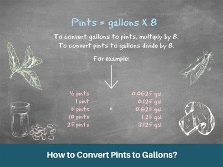 How many cups is 15 pints water?