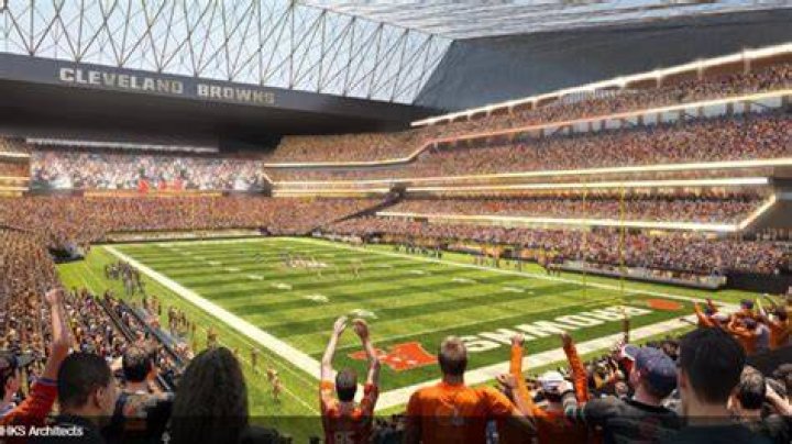 How many flags did the Browns have?