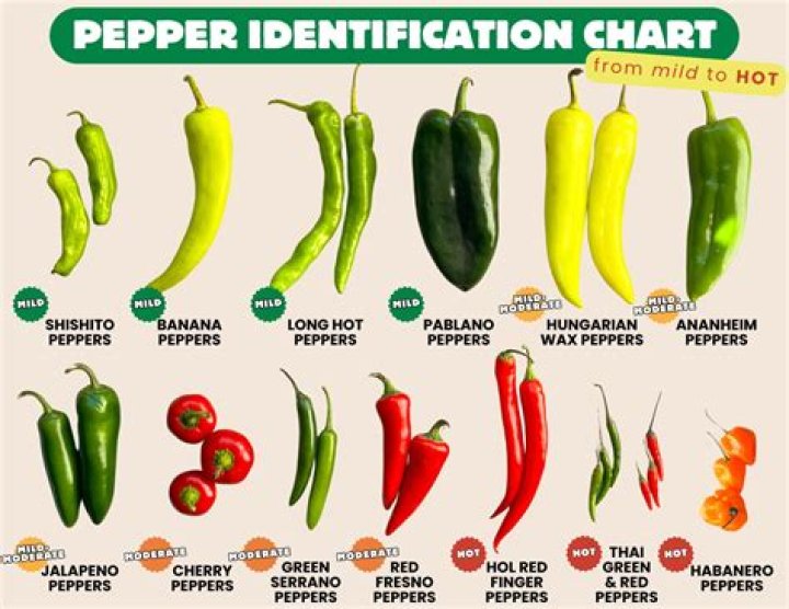 How many grams is a red chilli pepper?