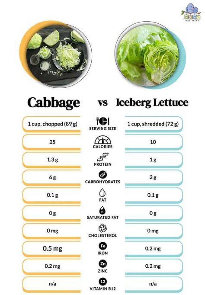 How many ounces is 8 cups of shredded cabbage?