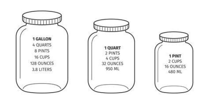 How many pints are in a dry gallon?