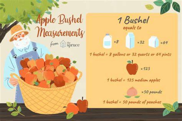 How many quarts are in a bushel of peas?