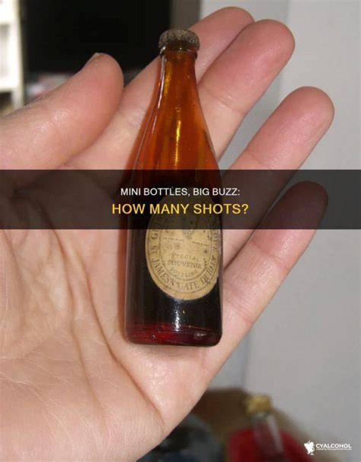 How many shots are in a mini bottle?